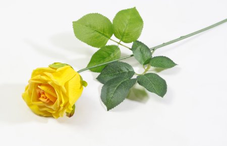 Роза с латексным покрытием крупная желтая