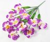 Букет орхидеи 10 веток 10 цветков