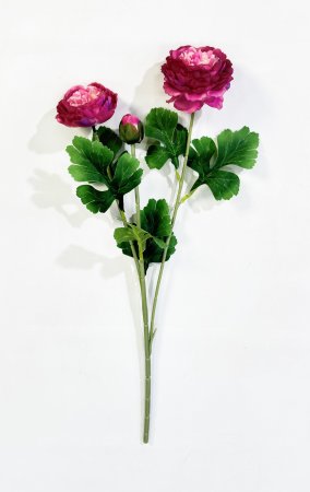 Пион "Махровый" 2 цветка 1 бутон бордо