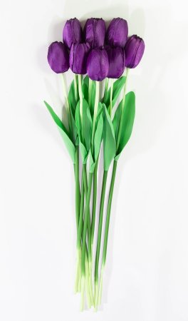 085c52688f99607e8f7e79ae6d731346