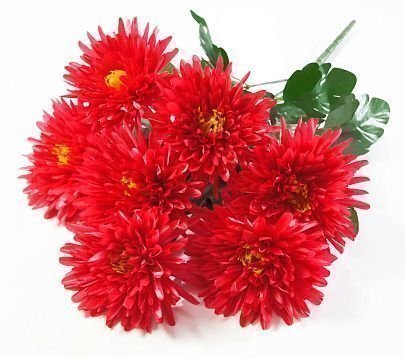 Астра "Богиня солнца" 7 цветков от магазина KALINA являющийся официальным дистрибьютором в России 