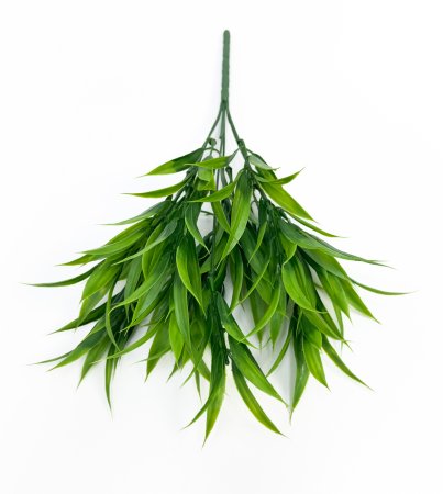 картинка Рускус лесной от магазина KALINA