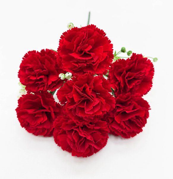 Гвоздика "Аристократ" 7 цветков