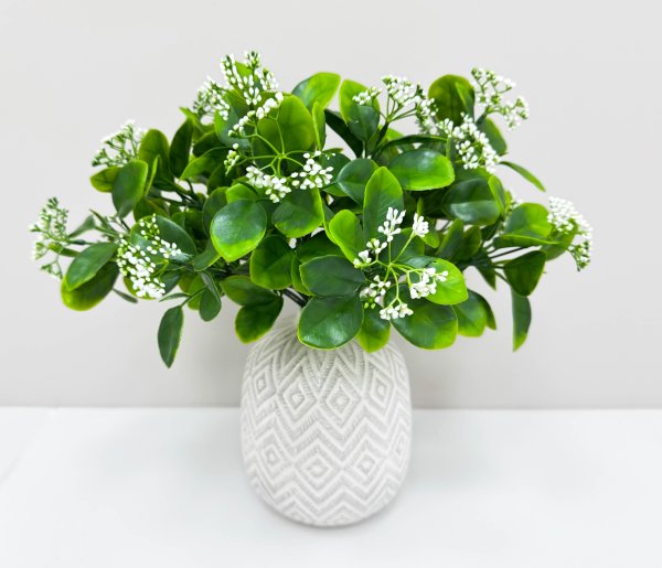 картинка Питтоспорум с белыми соцветиями от магазина KALINA