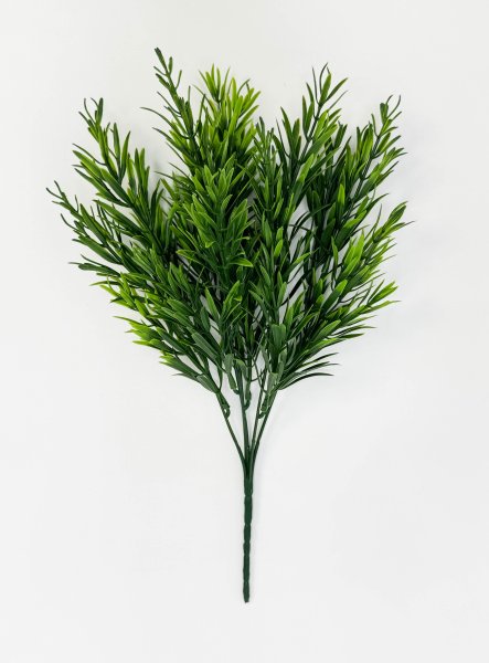 картинка Розмарин "Садовый" от магазина KALINA