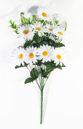 Ромашка "Алтайская" 11 веток