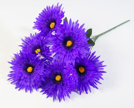 Астра Фокус малая 6 цветков