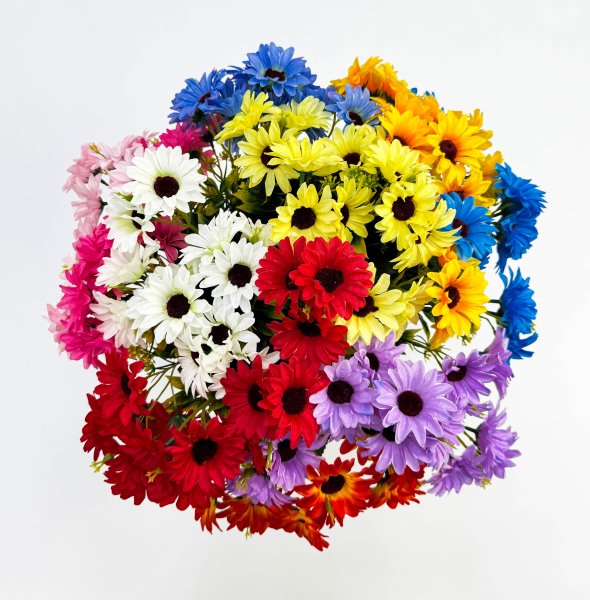 Цинерария разноцветная 15 цветков