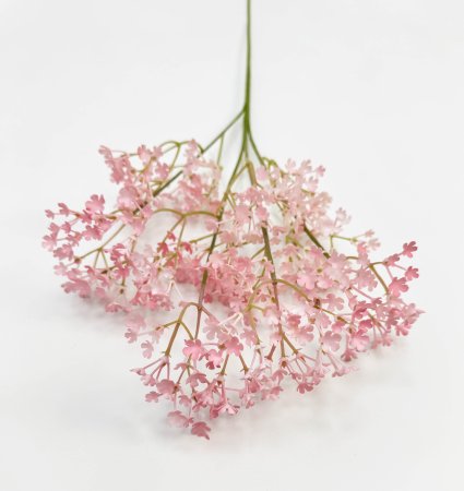 Гипсофила "Изящная" светло-розовая