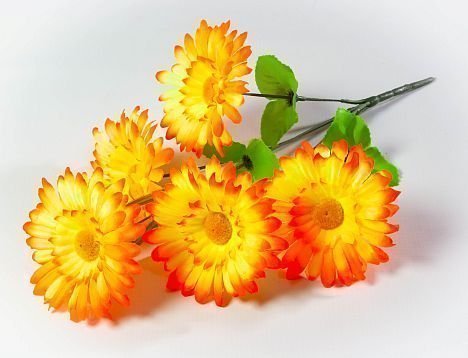 Букет ромашки "Аэлита" 5 веток 5 цветков от магазина KALINA являющийся официальным дистрибьютором в России 