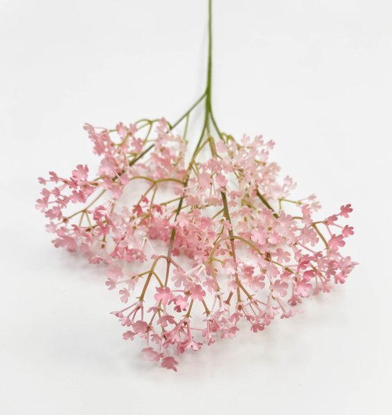 Гипсофила "Изящная" светло-розовая