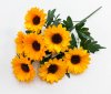 Подсолнух "Цвель"7 цветков