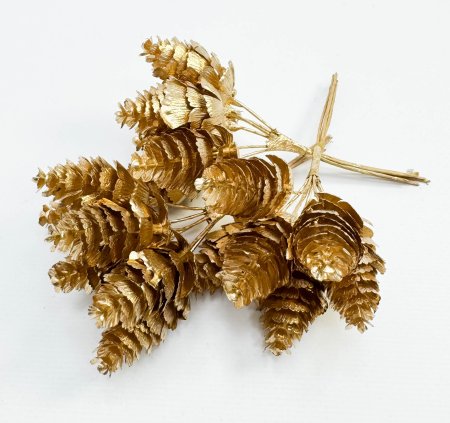 Шишка золото