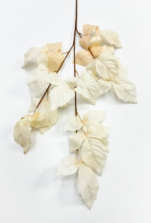 Ветка малины светло-бежевая