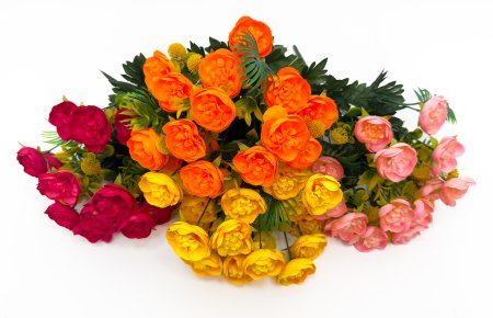 Пион "Юнитоп" 18 цветков