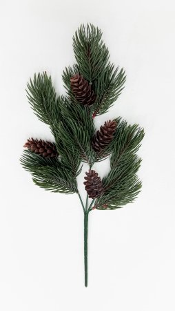 картинка Сосновая ветка "Заповедный лес"  от магазина KALINA