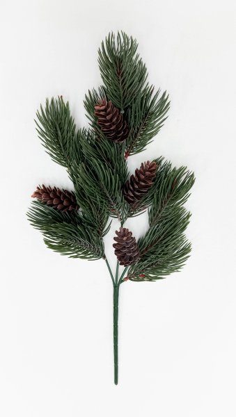 картинка Сосновая ветка "Заповедный лес"  от магазина KALINA