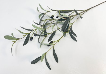 Ветка оливы с ягодкой ботаническая копия