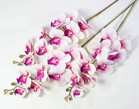 Ветка орхидеи 12 от магазина KALINA являющийся официальным дистрибьютором в России 