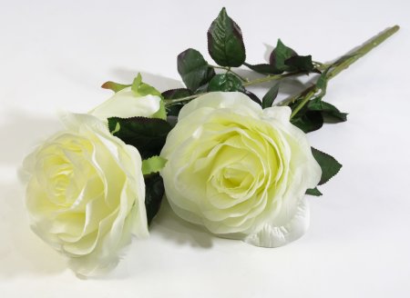 Ветка роз "Фан-фан"