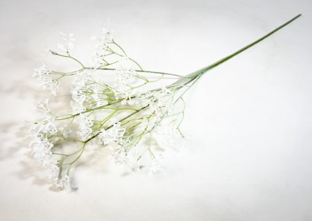 Гипсофила "Изящная" белая