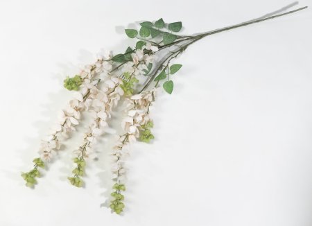 Глициния Китайская светло-персиковый