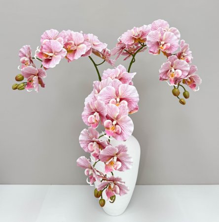 Орхидея "Биг Лип" розовая 9 цветков
