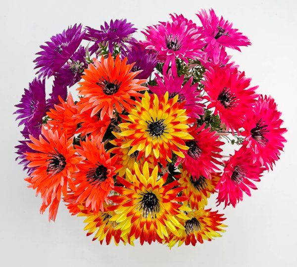 Астра черная тычинка 7 цветков