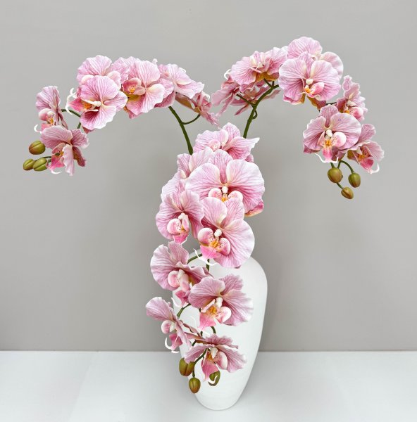 Орхидея "Биг Лип" розовая 9 цветков