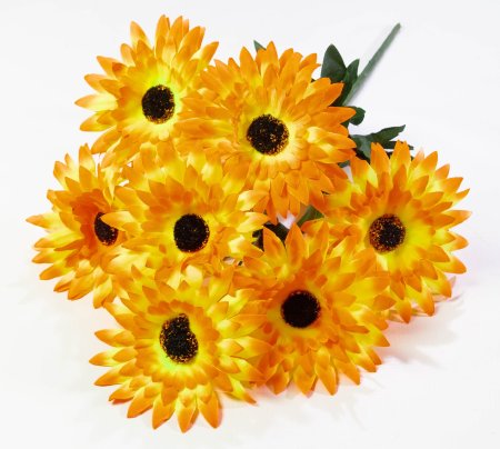 Букет гербер "Липстик" 7 цветков