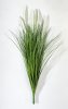 картинка Пеннисетум (Лисий хвост) 60 см от магазина KALINA