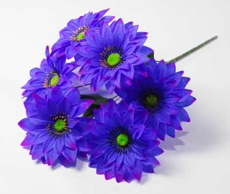 Георгин с зеленой тычинкой 6 цветков