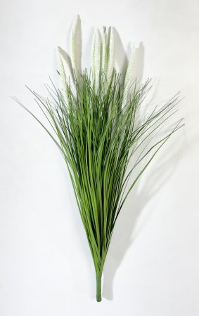 картинка Пеннисетум (Лисий хвост) 60 см от магазина KALINA