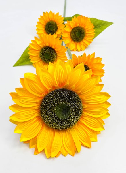 Подсолнух "Казачий" 5 цветков