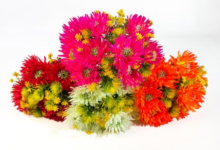 Астра Инсайдер 9 цветков 18 веток