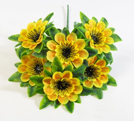 Букет георгина  "Баронесса" 6 веток  6 цветков