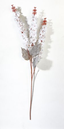 Дельфиниум Суфле белый