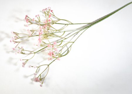 Ветка гипсофилы Персик