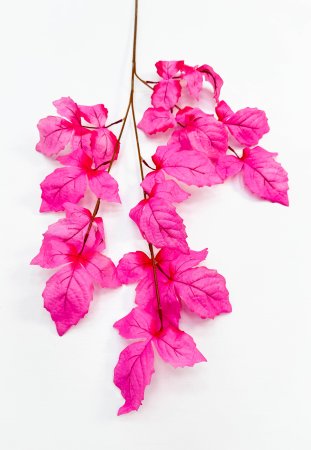 Ветка малины розовая