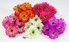 Букет георгина "Факел" 6 цветков