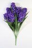 Гиацинт крупный 7 веток