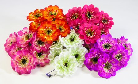 Букет георгина "Факел" 6 цветков