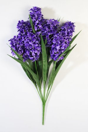 Гиацинт крупный 7 веток