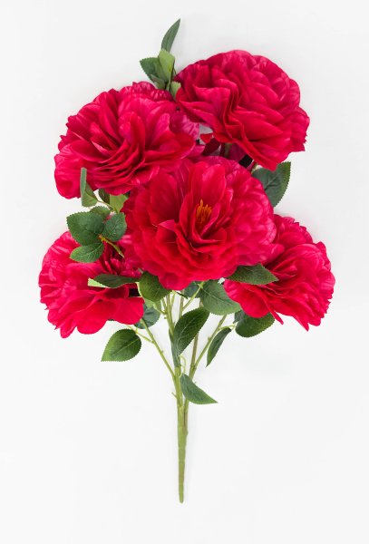 георгин "Апатит" 5 цветков