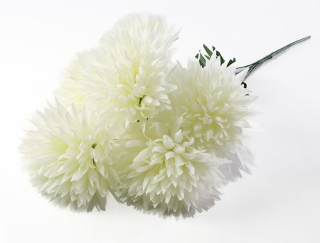 Хризантема "Талисман гигант" 6 цветков