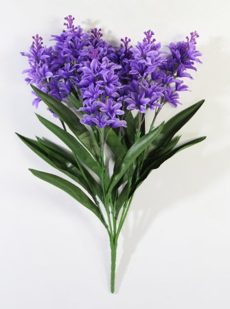 Гиацинт 7 веток