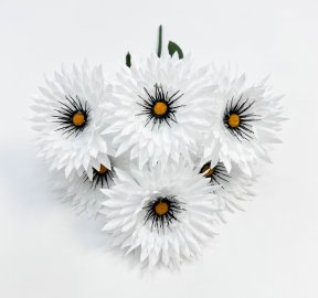 Ромашка "Белогововник" 6 цветков