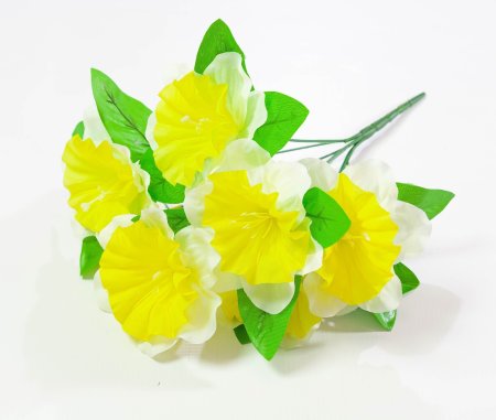 Петуния 7 веток