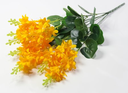 Дельфиниум