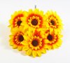 Подсолнух "Землячка" 6 цветков